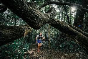 BIB: 
                            <button type="button" onclick="openModal(25663158)" class="btn btn-primary btn-sm float-right btn-popup" data-toggle="modal" data-target=".modal-high-quality">
                        <i class="fas fa-shopping-cart"></i> Add to Cart
                    </button>
                                            <button type="button" onclick="isThisMe(25663158, true)" class="btn btn-success btn-sm float-right btn-popup btn-isme hidden" data-toggle="tooltip" data-placement="bottom" title="นี่คือรูปของคุณใช่ไหม คลิกที่นี่เพื่อเอาเข้าอัลบั้ม">
                        <i class="fas fa-plus"></i> Add to album
                    </button>
                    <button type="button" onclick="isThisMe(25663158, false)" class="btn btn-warning btn-sm float-right btn-popup btn-isnotme hidden">
                        <i class="fas fa-ban"></i> Remove from album
                    </button>